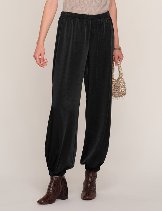 Ethan Pant